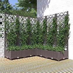 Maison Chic Jardinière,Bac à fleurs avec treillis - pot de fleur Marron 120x120x121,5 cm PP -GKD46599