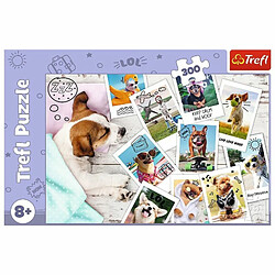 Avis Trefl- für Kinder AB 7 Jahren Puzzle de 300 pièces, 23003, coloré