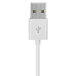 Avis Avizar Câble USB vers connecteur Apple 30 broches - Blanc