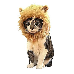 Avis Totalcadeau Costume de lion pour chat et petit chien déguisement