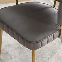 ComfortXL Chaise en Velours avec Accoudoirs, Lot de 2, Moderne et Confortable, Pieds Métalliques - Gris pas cher