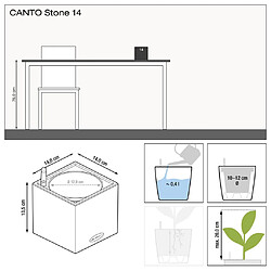 Acheter LECHUZA Jardinière de table CANTO Stone 14 ALL-IN-ONE Noir graphite