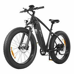 Vélo Électrique DYU King750 26 Pouces 45km/h - Moteur 750W Batterie 48V20Ah Freins à Disque - Noir pas cher