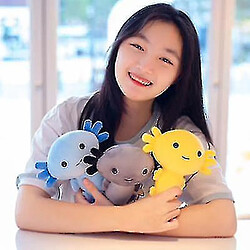 Acheter Universal Mignon dessin animé salamandre poupée salamandre mercy peluche cadeau enfant