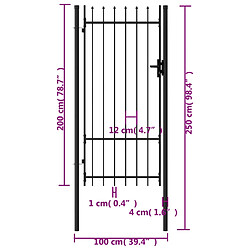 Acheter vidaXL Portillon simple porte avec dessus à pointe Acier 1x2 m Noir