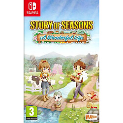 C000036837_MARVELOUS Story Of Seasons A Wonderful Life