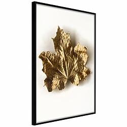 Paris Prix Affiche Murale Encadrée Dried Maple Leaf 20 x 30 cm Noir