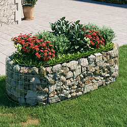 Maison Chic Jardinière,Lit surélevé - Bac à fleurs - pot de fleur à gabion Fer galvanisé 200x100x50 cm -GKD54923