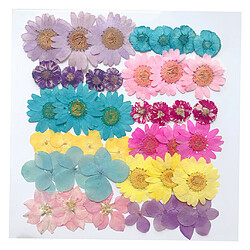 Fleurs Séchées Naturelles Scrapbooking Embellissements Artisanat Pour Décors D'art D'ongle