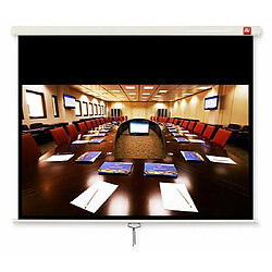 Avtek Cinema PRO 240 projection screen 16:9 104``