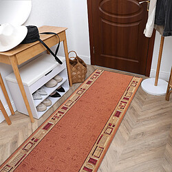 Avis RUGSX TAPIS DE COULOIR ANTIDÉRAPANT JENA roux 100cm 100x690 cm