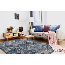 Acheter RUGSX Tapis NAIN Ornement vintage 7591 51644 bleu foncé beige 200x300 cm