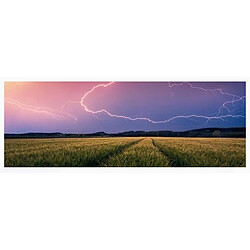 Ravensburger Puzzle Adulte panoramique - Orage d ete - Nature edition 500 pcs