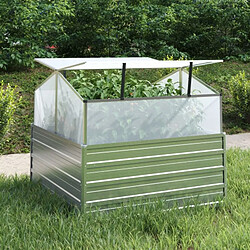 vidaXL Lit surélevé de jardin avec serre 100x100x85 cm Argenté