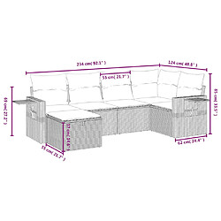 Avis vidaXL Salon de jardin 6 pcs avec coussins noir résine tressée