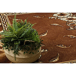 Acheter RUGSX BCF Rug Morad TRIO fleurs, feuilles classique - marron 200x300 cm