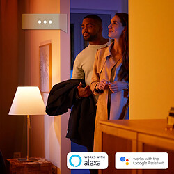 Philips Hue Luminaire Adore - Miroir 40W