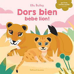 Dors bien bébé lion !