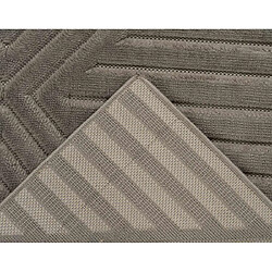 Avis Lisa Design Rio - tapis rectangulaire motif géométrique - intérieur et extérieur - taupe