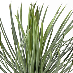 Avis Pegane Plante artificielle haute gamme Spécial extérieur / YUCCA Artificiel - Dim : 40 x 30 cm