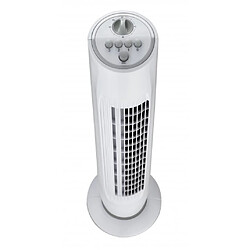 Mezieres VENTILATEUR COLONNE MINUTERIE 120 MINUTES pas cher