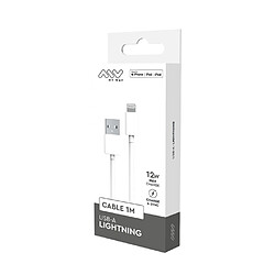 My Way Myway Câble Lightning vers USB 2.0 Charge 12W et Synchronisation 1m Blanc