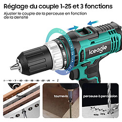 Acheter iceagle Perceuse Visseuse Sans Fil LCD777-1S,Visseuse Devisseuse Sans Fil 20V,avec Chargeur de Batterie