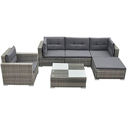 vidaXL Salon de jardin avec coussins 6 pcs résine tressée gris