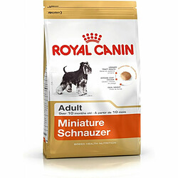 Nourriture Royal Canin Miniature Schnauzer Adulte 3 Kg