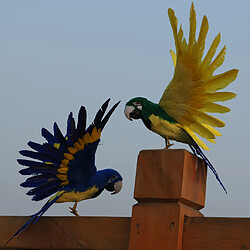 Artificiel à plumes Animal Bird Garden Figurine Decor perroquet bleu pas cher