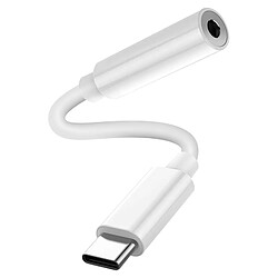 Avizar Adaptateur Audio USB-C vers Jack 3.5mm Son de Haute Qualité Compact Léger Blanc