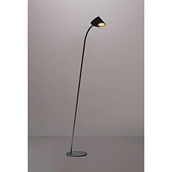 Inspired Lampadaire 1 Lumière, LED 8.5W, 3000K, 600lm, Noir, 3 ans de Garantie