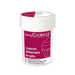 Scrapcooking Colorant alimentaire en pâte 20 g - Prune