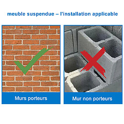 Aica Sanitaire 120(L)x45(W)x40(H)cm Meuble salle de bain anthracite avec 2 portes à une fermeture amortie avec 2 vasques à suspendre