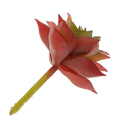 Artificial Succulent Réel Tactile Lotus Fleur Plante Herbe 7cm Rouge pas cher