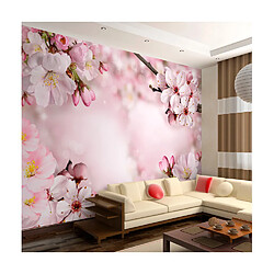 Artgeist Papier peint - Spring Cherry Blossom [350x245]