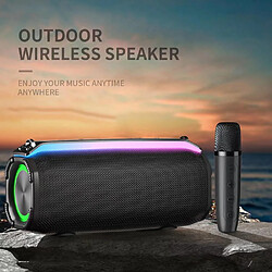 Avis Yonis Enceinte Bluetooth Portative 20W Smart TWS Double Micro Qualité Sonore HD