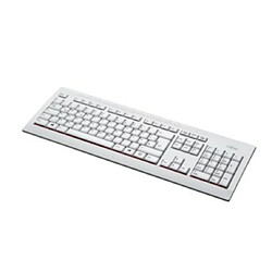 Fujitsu KB521 clavier USB Gris