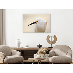 Artgeist Tableau - Snowy Egret (1 Part) Wide 90x60 cm