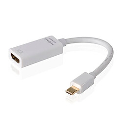 Totalcadeau Adaptateur mini display port à HDMI - Adaptateur pour ordinateur et PC pas cher