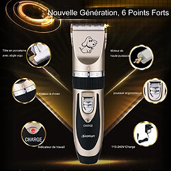 Tondeuse d’argent et noir pour Animaux Chien Chat Lapin Rasoir Toilettage Electrique Rechargeable Clippers Pet Trimmer