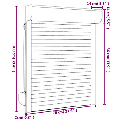 vidaXL Volet roulant aluminium 70x100 cm anthracite pas cher