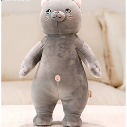 Universal Poupée de chat 13 pouces oreiller peluche animal chat coussin mignon peluche douce pour les enfants bébé cadeau d'anniversaire | Peluche animal peluche pas cher