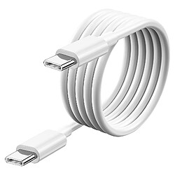 Câble USB-C vers USB-C Google Original, Charge et Synchronisation Blanc 1m