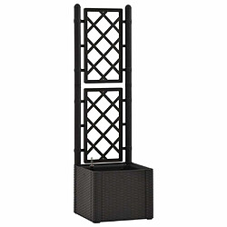 Maison Chic Jardinière,Lit surélevé de jardin - Bac à fleurs - pot de fleur treillis système d'arrosage Anthracite -GKD84661