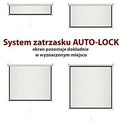 Avis Art Manual Screen 4:3 Semi-Automatic 120`` 244x183cm MS-120 4:3