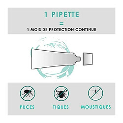 Acheter VETOCANIS 2 Pipettes anti-puces et anti-tiques - Pour Chat - 2x 1 mois de protection