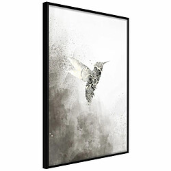 Paris Prix Affiche Murale Encadrée Hummingbird in Shades of Grey 20 x 30 cm Noir