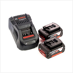 Bosch Set de démarrage 18 V: 2x Batteries GBA 18 V 5,0 Ah Li-Ion + Chargeur GAL 1880