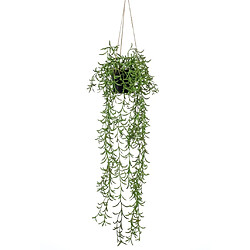 Emerald Buisson suspendu senecio artificiel en pot 70 cm